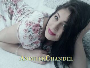 AndilekChandel