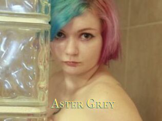 Aster_Grey