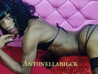 Antonellabigck