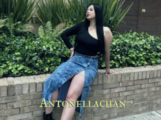 Antonellachan