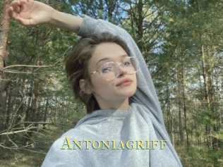 Antoniagriff