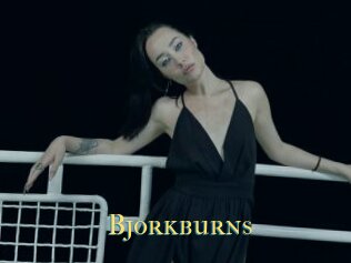 Bjorkburns