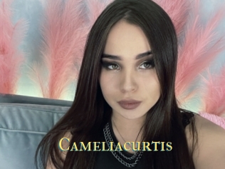 Cameliacurtis