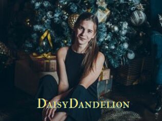 DaisyDandelion