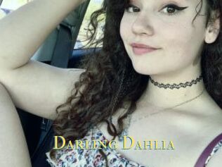 Darling_Dahlia