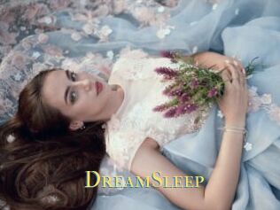 DreamSleep