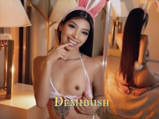 Demibush