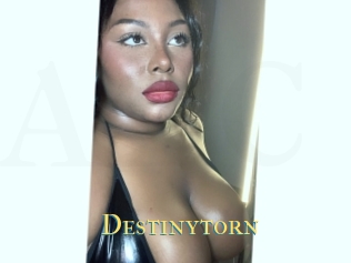 Destinytorn