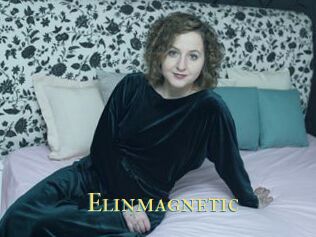 Elinmagnetic