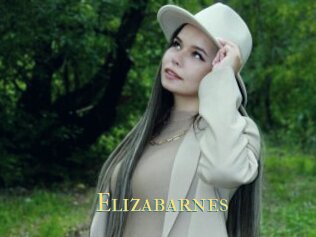 Elizabarnes