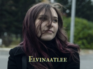 Elvinaatlee