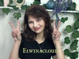 Elwinacloud