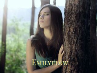 Emilyflow