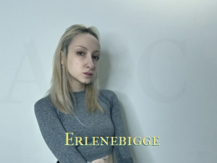 Erlenebigge