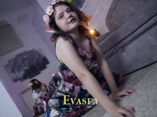 Evasea