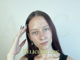 Felicebeldin