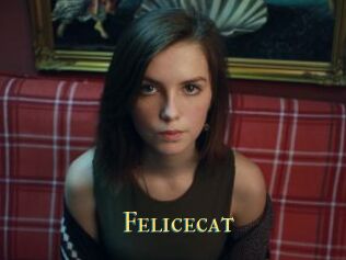 Felicecat