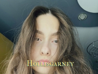 Hollisgarney