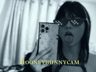 Hooneybunnycam