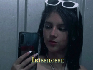 Irissrosse