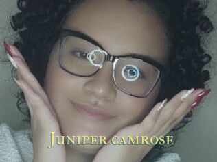 Juniper_camrose