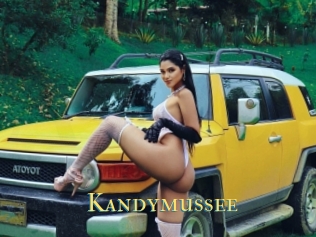 Kandymussee