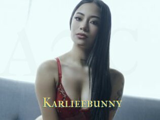 Karlieebunny