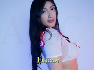 Libcam