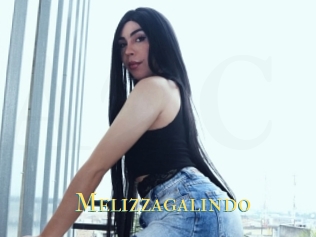 Melizzagalindo