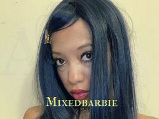 Mixedbarbie