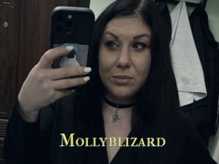 Mollyblizard