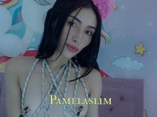 Pamelaslim