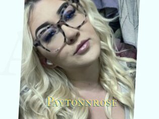 Paytonnrose