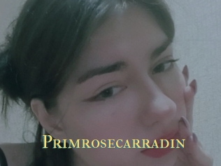 Primrosecarradin