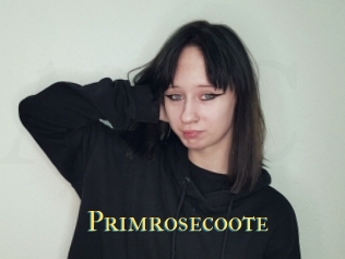 Primrosecoote