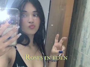 Roses_in_eden