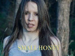 SMALL_HONEY