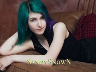 SandySnowX