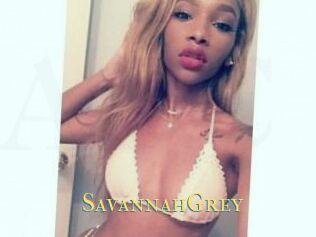 Savannah_Grey