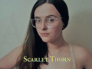 Scarlet_Thorn