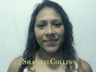 ShantalCollins