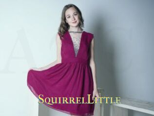 SquirrelLittle