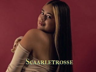 Scaarletrosse