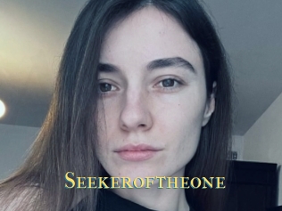 Seekeroftheone