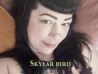 Skylar_bird