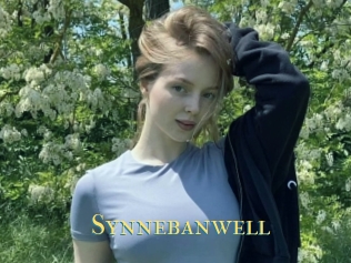 Synnebanwell