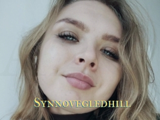 Synnovegledhill