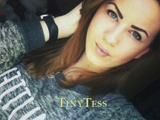 TinyTess