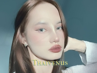 Thaivenus