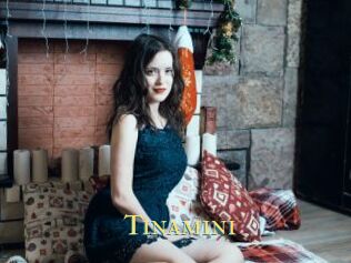Tinamini